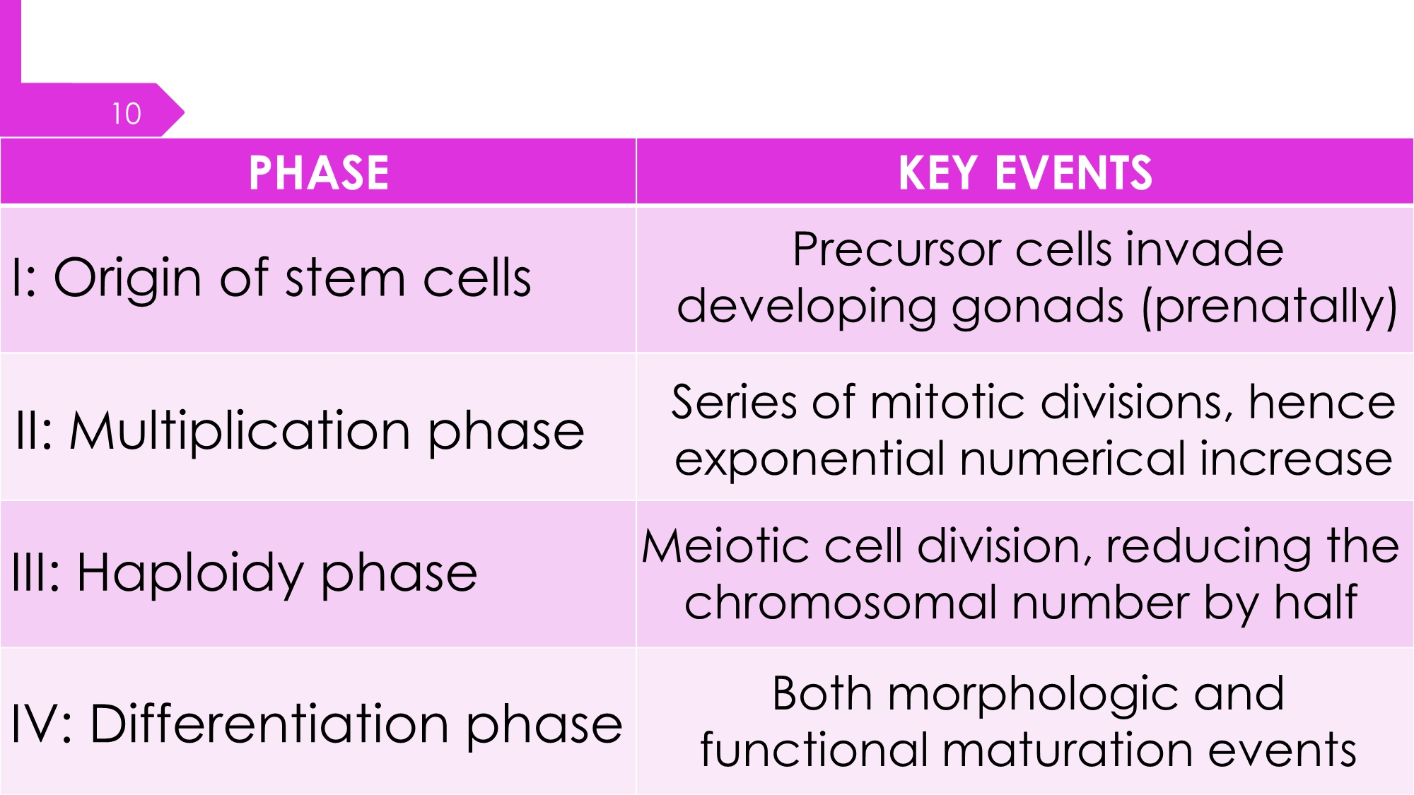 No preview available